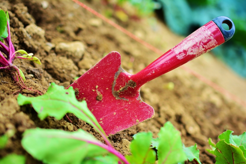 sasu-PUGET SUR ARGENS-min_gardening-2448134